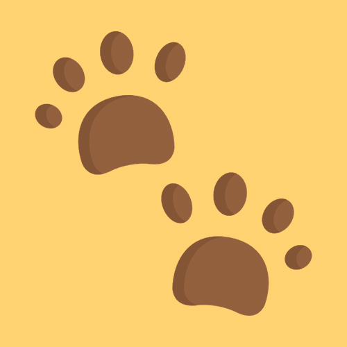 footprints de google