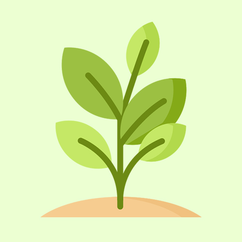 contenido Evergreen SEO